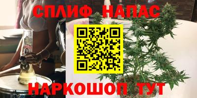 кокс Донской