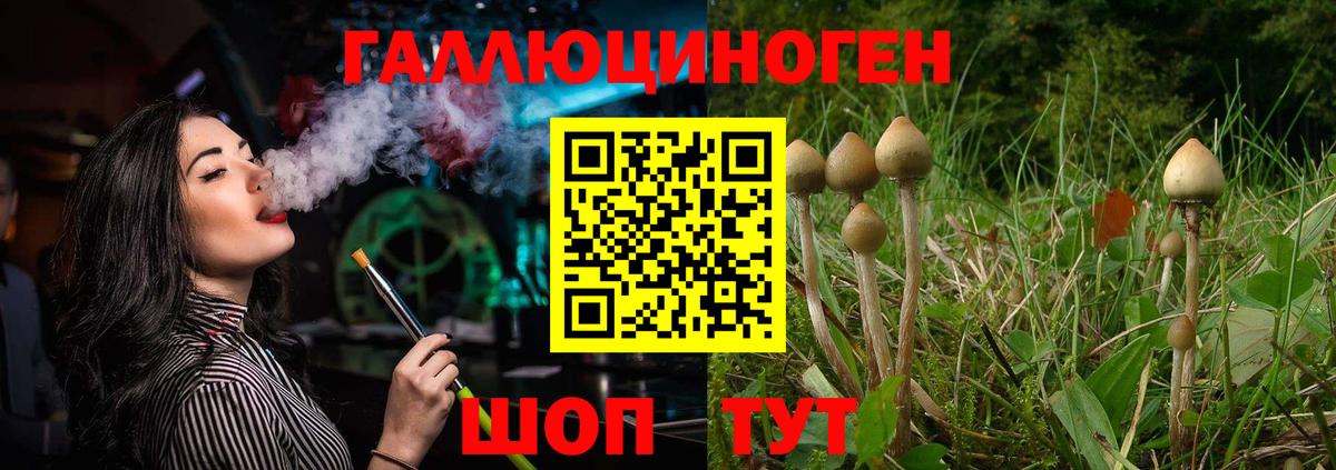 Нефтекамск  Псилоцибиновые грибы мицелий  Вход с VPN 